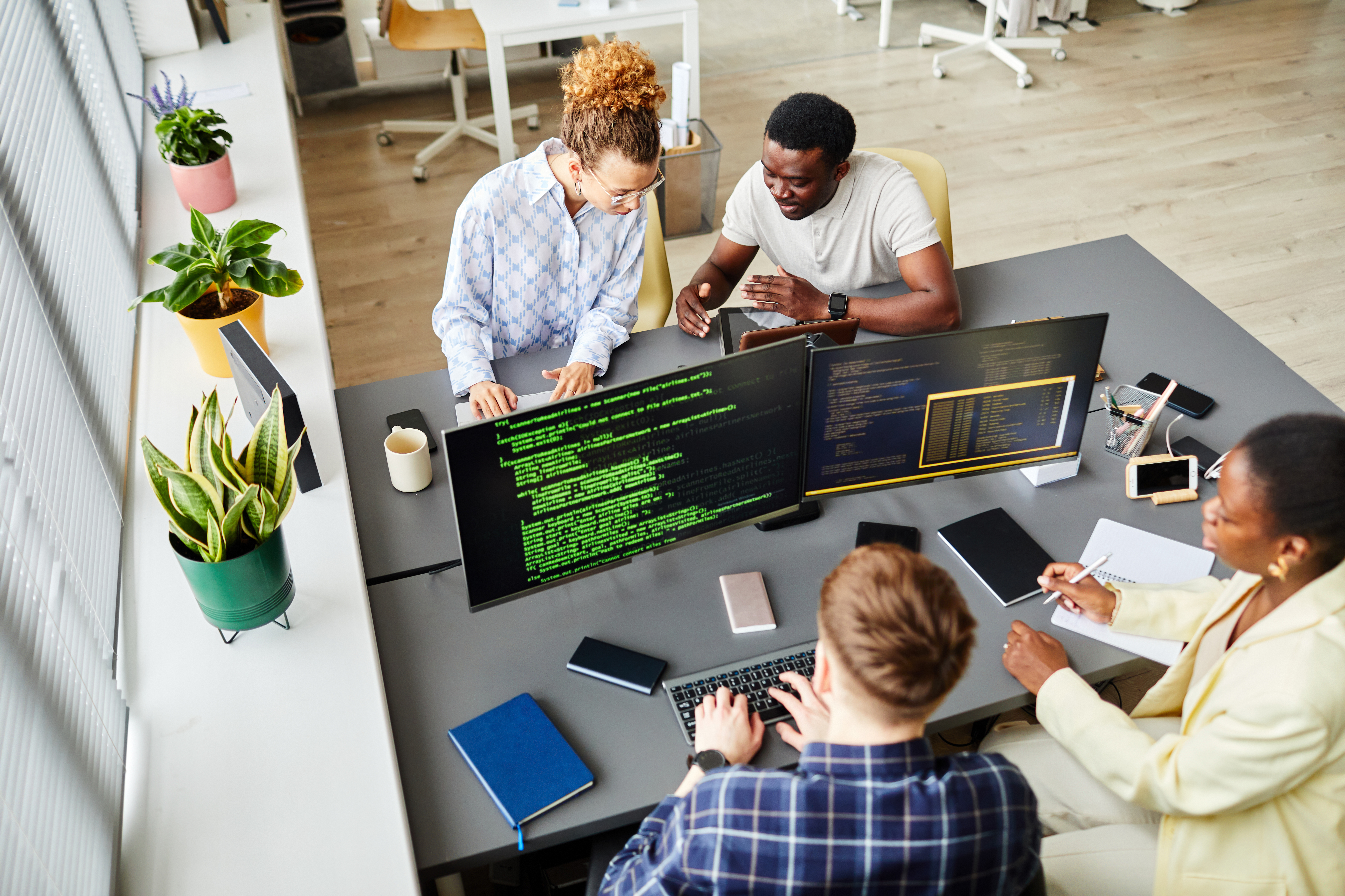 Software Development